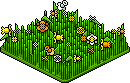Petal Patch